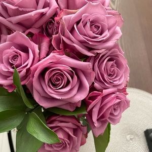 Meet your Posher, Karla